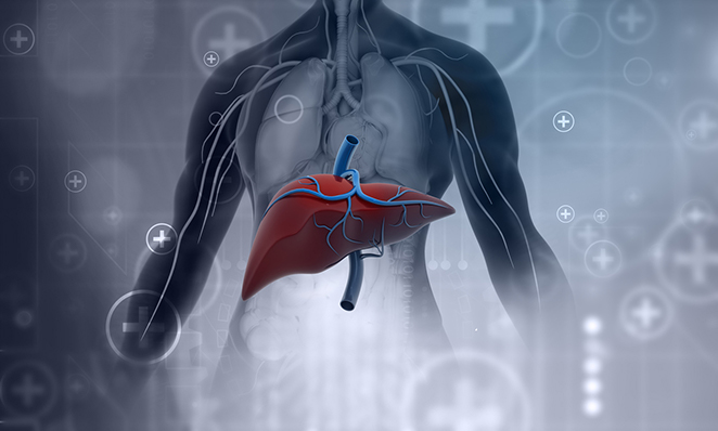 Read more about the article Pre and Post Transplant Management of Hepatitis C