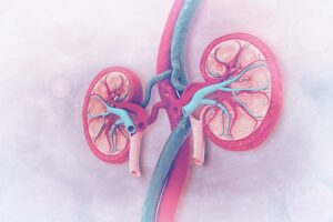 Read more about the article Tackling Chronic Kidney Transplant Rejection: Challenges and Promises