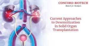 Read more about the article Current Approaches to Desensitization in Solid Organ Transplantation
