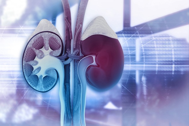 Read more about the article Update on the Management of Urological Problems Following Kidney Transplantation