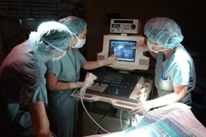 Read more about the article Current Status of Ultrasound in Acute Rejection  After Renal Transplantation: A Review with a Focus on Contrast-Enhanced Ultrasound