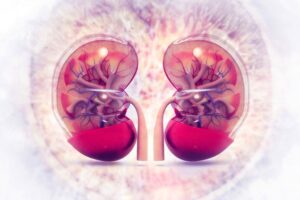 Read more about the article Antagonists in CKD: In Need of a Few Large Trials