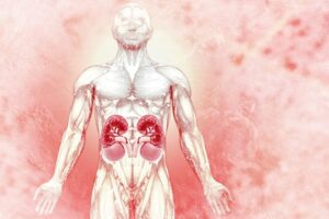 Read more about the article Adrenal function testing in dialysis patients –  A review of the literature