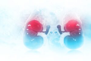 Read more about the article Cell-free DNA diagnostics in transplantation utilizing next generation sequencing