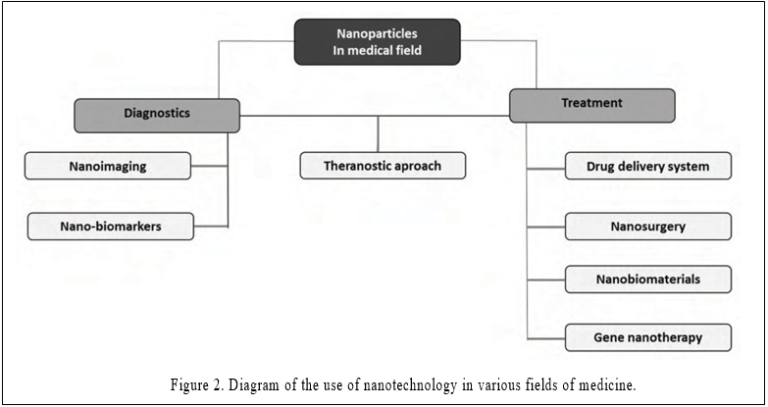 The Application of Nanoparticles in Diagnosis and Treatment of Kidney ...