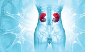 Read more about the article Safety and Efficacy of DOACs in Patients with Advanced and End-Stage Renal Disease