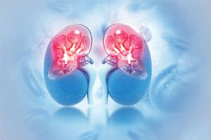 Read more about the article Peritoneal Dialysis for Potential Kidney Transplant Recipients: Pride or Prejudice?