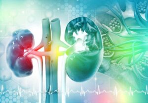 Read more about the article Novel strategies in nephrology: what to expect from the future?