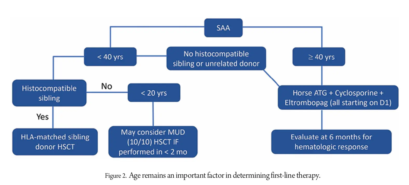 Age-remains-an-important-factor-in-determining-first-line-therapy