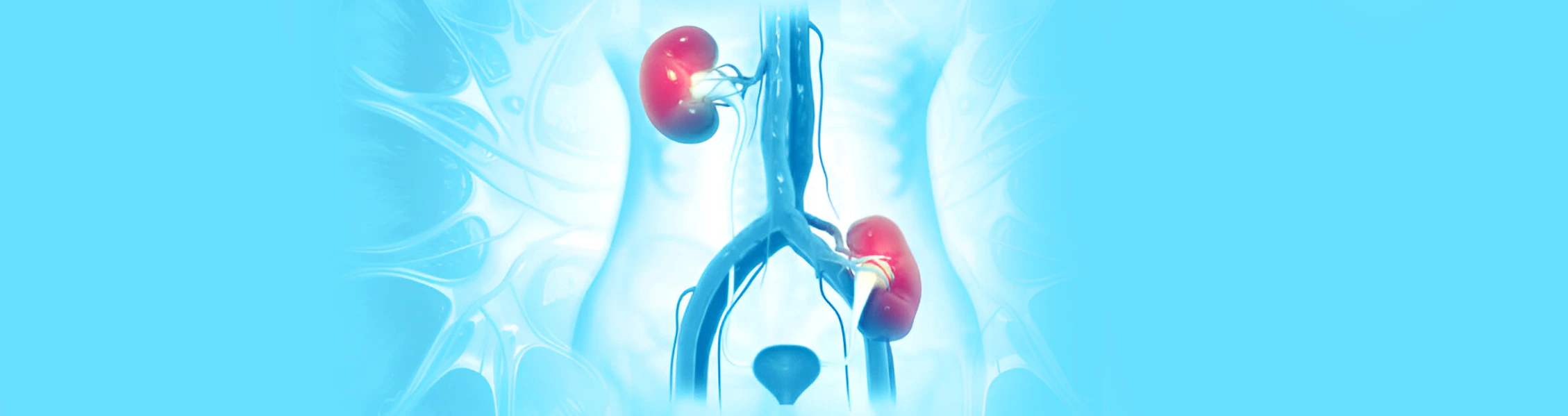 Read more about the article Changes in Cognitive Function After Kidney Transplantation: A Longitudinal Cohort Study