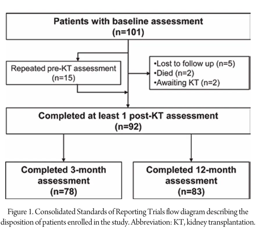 Consolidated-Standards-of-Reporting-Trials-flow-diagram