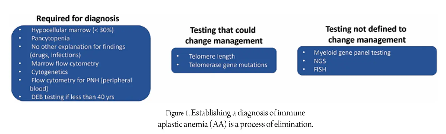 Establishing-a-diagnosis-of-immune