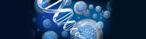 Read more about the article Progress in medical therapy in aplastic anemia:  why it took so long?