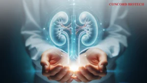 Read more about the article Management of kidney transplant recipients for primary care practitioners