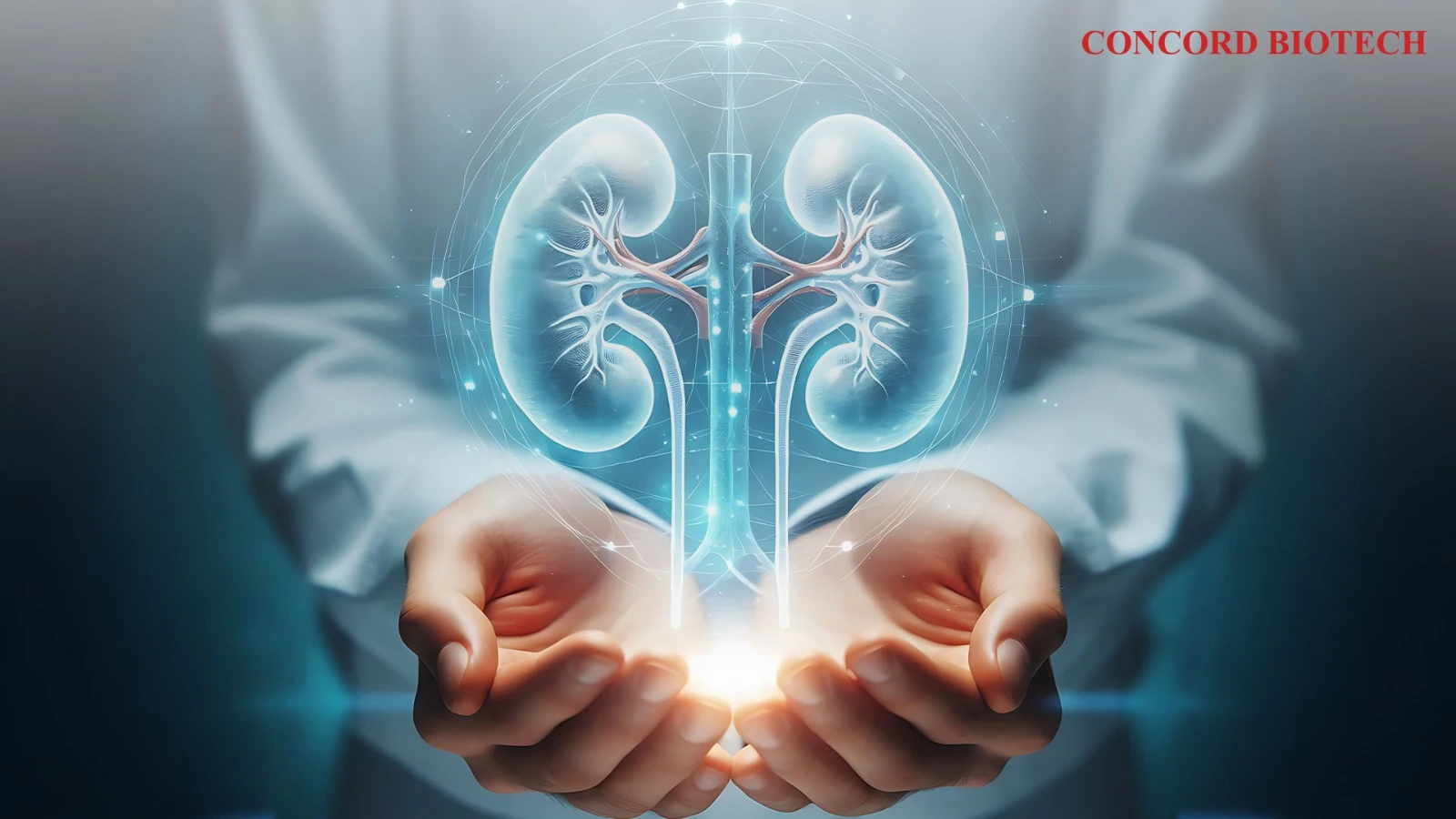 Read more about the article Management of kidney transplant recipients for primary care practitioners