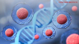 Read more about the article The state of the art in the treatment of severe aplastic anemia: immunotherapy and hematopoietic cell transplantation in children and adults