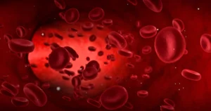 Read more about the article Rapid Response with Daratumumab for Pure Red Cell Aplasia in a Case of Aplastic Anemia with Mixed Chimerism After ABO-Mismatched Stem Cell Transplant