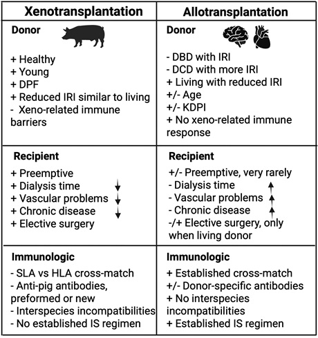 Benefit-and-pitfalls-of-xenotransplantation