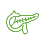 12 to 18 hours 12 to 18 hours