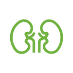 24 to 36 hours 24 to 36 hours