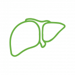 8 to 12 hours 8 to 12 hours