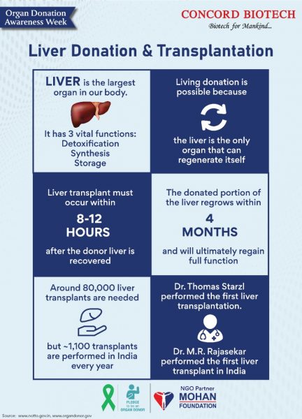 Liver Donation & Transplantation