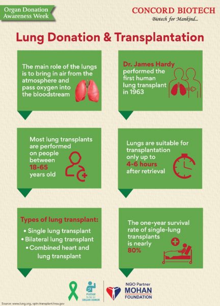 Lung Donation & Transplantation